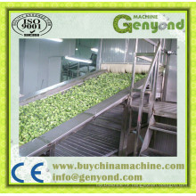 Vegetable Individual Quick Freezing Machine